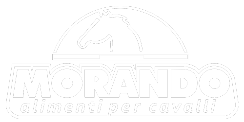 cavalli